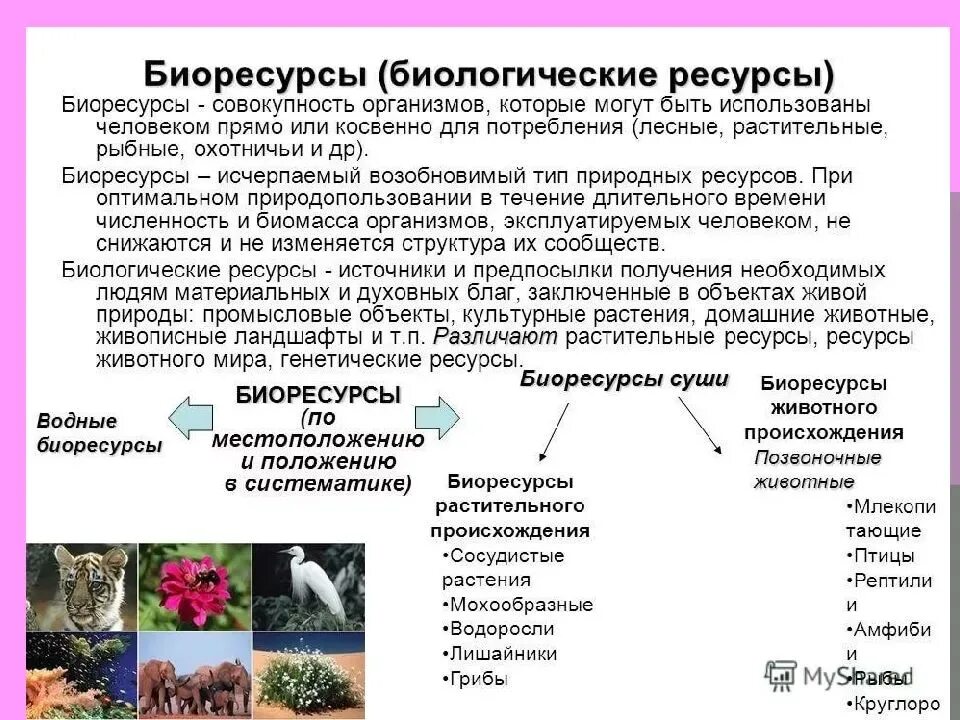Область использования биологии