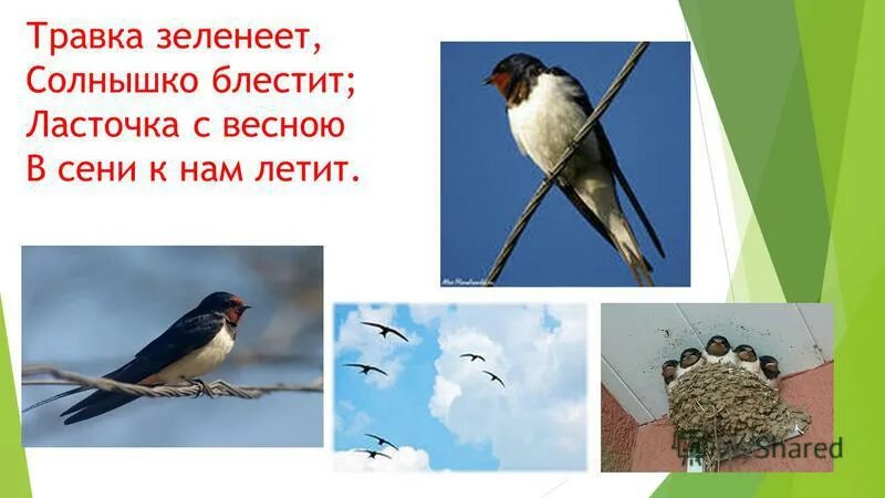 Плещеев Ласточка. Рамка зеленеет солнышко блестит. Трава зеленее солнышко блестит. Травказленеет солнышко блестит. Травка зеленеет 1 класс