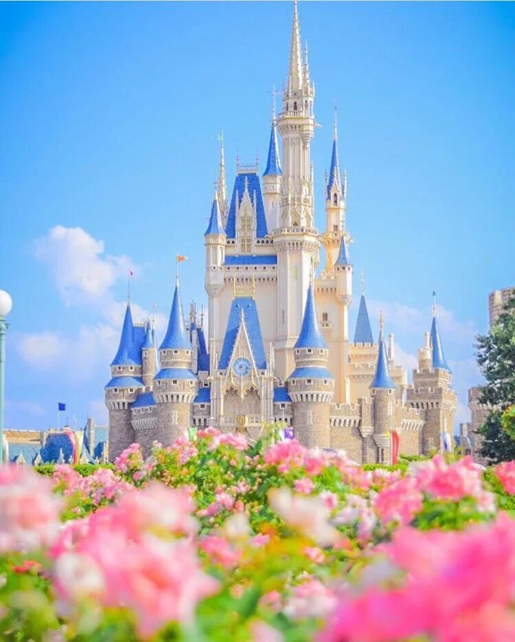 Королевство принцессы. Уолт Дисней замок Золушки. Замок принцессы Диснейленд. Дворец Золушки Диснейленд. Disney "дворец Софии прекрасной".