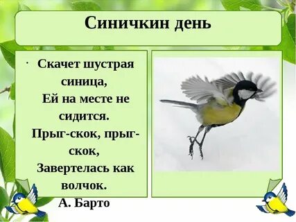 Что обозначает синица