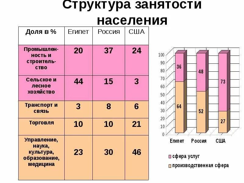 Центр занятости рассказово. Служба занятости. Аттестация плюс набережные. Занятость населения мичуринск. Занятость населения мичуринск.