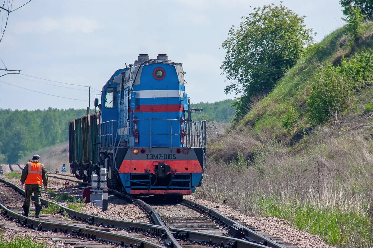Маневрово вывозные локомотивы