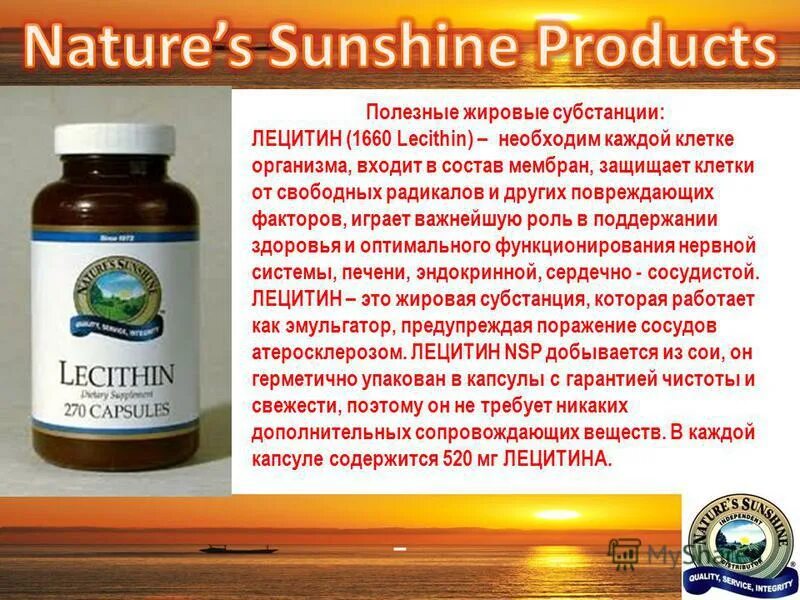 лецитин нсп фото. лецитин нсп (lecithin nsp). лецитин соевый для чего. лецитин нсп картинки. Nsp бады лецитин.