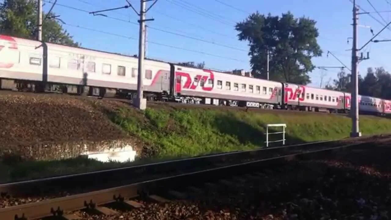 Лось железнодорожный. Поезд Поморье Москва Архангельск. Фирменный поезд Поморье. Платформа Лось. Поезд 015я Архангельск Москва.