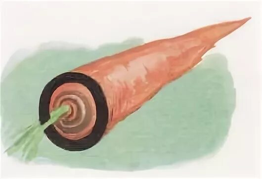 Звуковое слово морковь
