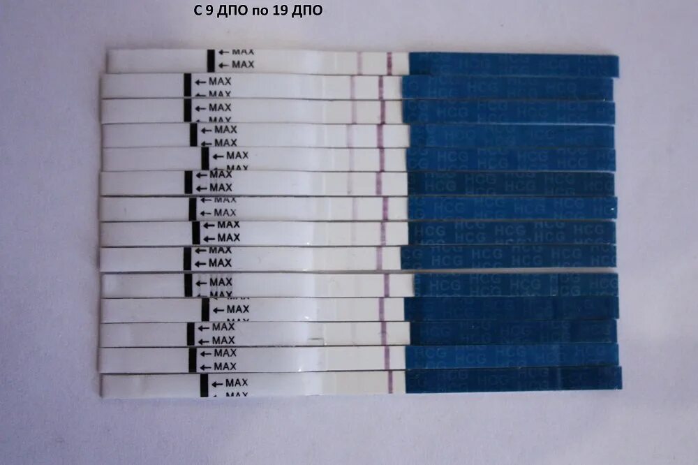 Тесты на беременность по дням. Динамика тестов на беременность по дням до задержки. Тест на ХГЧ. Тест на беременность ДПО.
