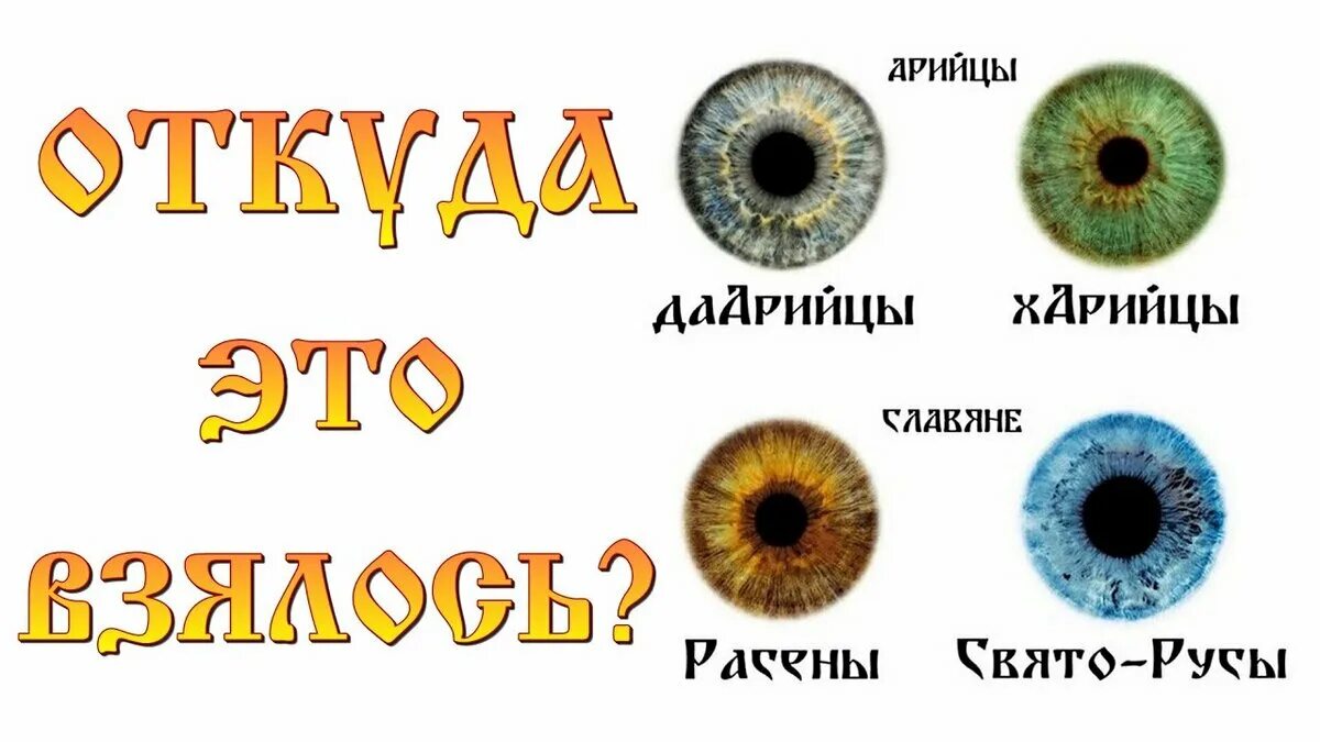 Рассены харийцы. Рассены харийцы. Харийцы дарийцы рассены святорусы цвет. Расены цвет глаз. Расены дарийцы.