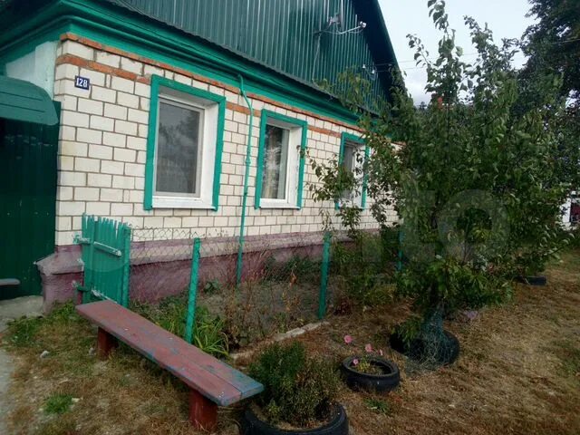 Новозыбков село шеломы. Новозыбков улица литейная дом 3. В новозыбкове на базе сайдейг. Объявления новозыбков авито брянская область. Объявления новозыбков авито брянская область.