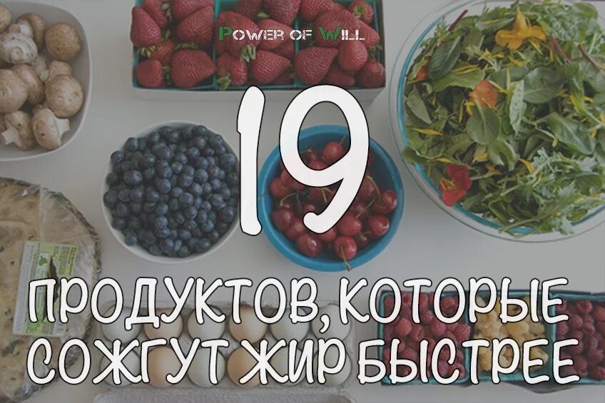 Продукты похудения сжигающие жир. Продукты сжигающие жир. Фрукты для похудения сжигающие жиры быстрого. Какие продукты сжигают жир. Продукты которые сжигают подкожный жир.