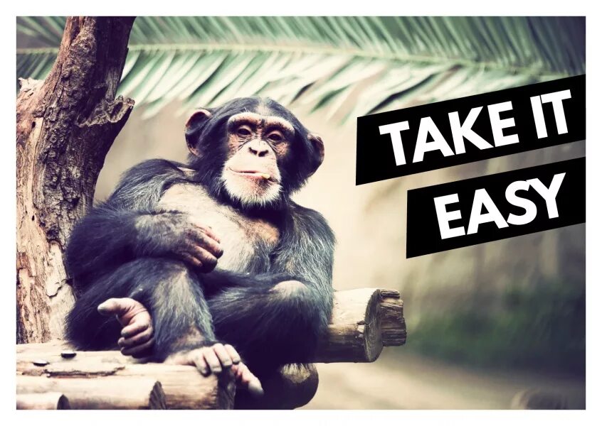 Таке изи. Take it easy. Релакс тейк ИТ ИЗИ. Take it easy картинки. It takes.