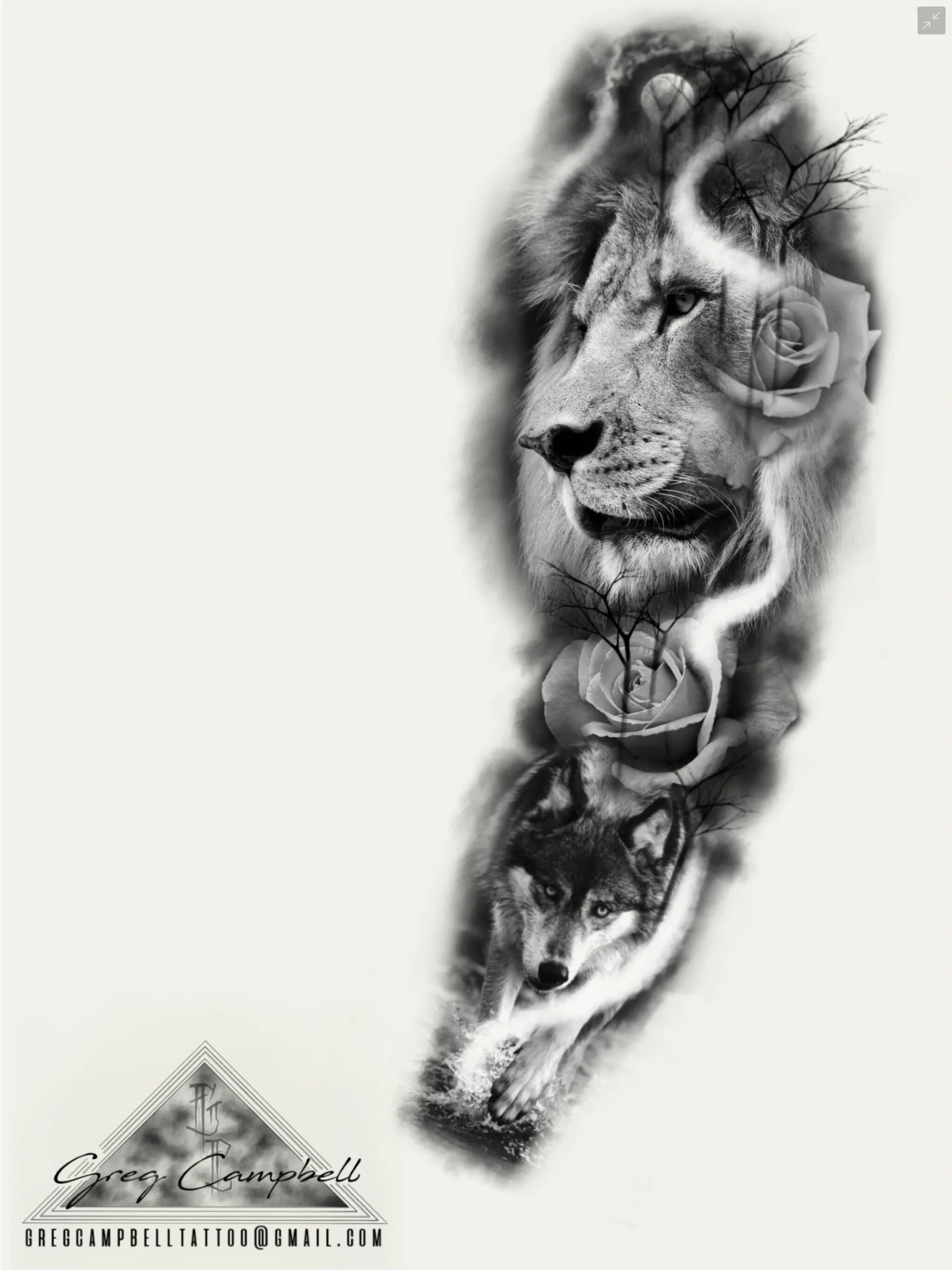 Тату волк лев. Лев мандала тату эскиз. Тату лев и волк. Тату лев и волк. Тату волка на спине мужские.