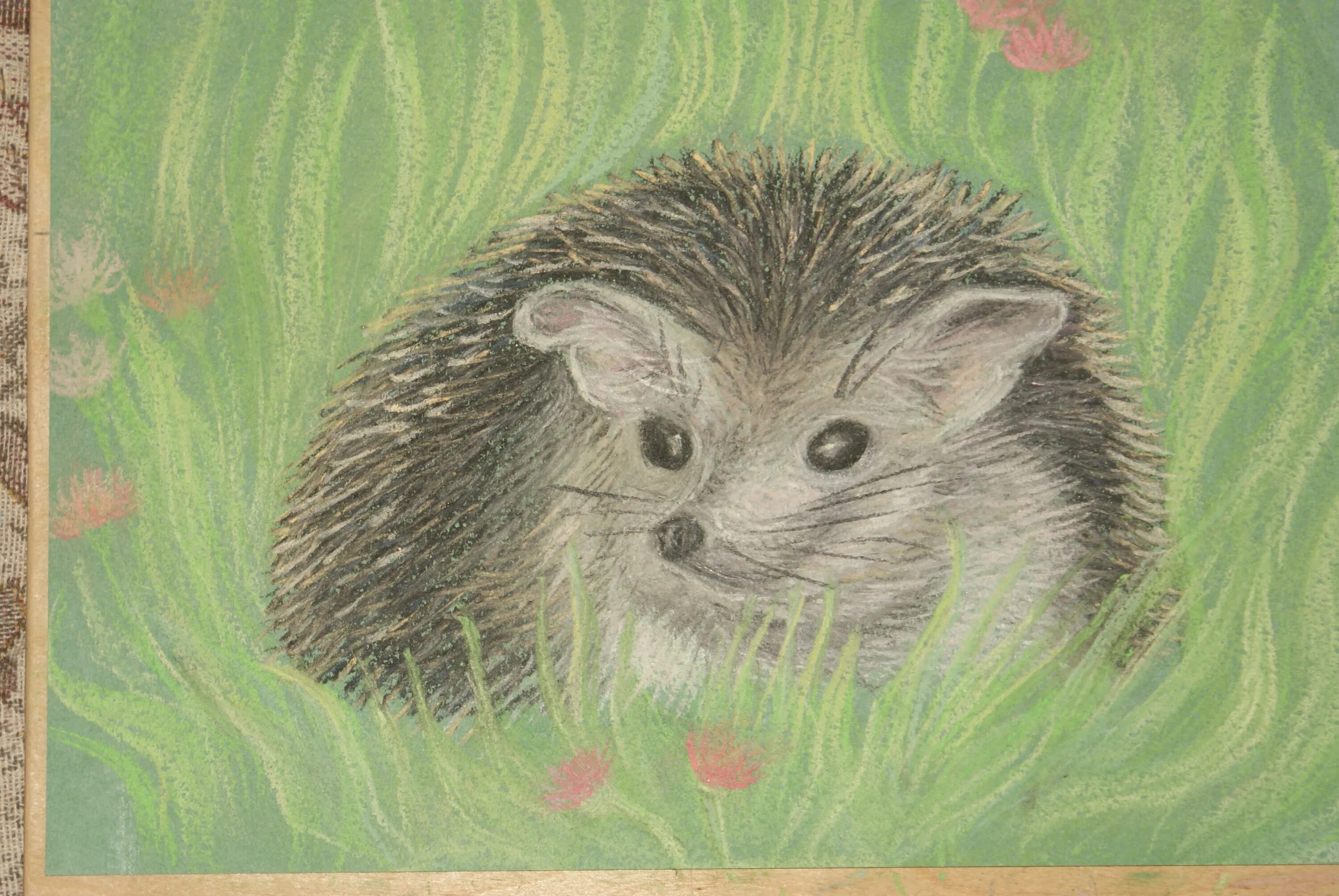 Рисования картинки ежик. Ежик пастелью. как нарисовать ежика. ежик пастельными мелками. ушастый ёж рисунок.