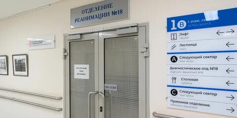 Запись к врачам боткинской больницы
