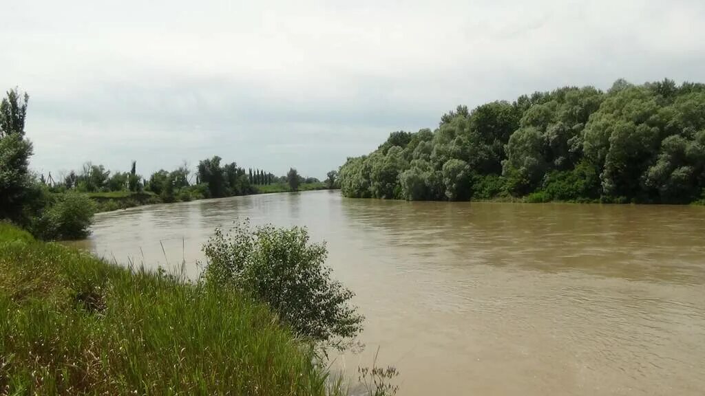 Гулькевичский районный краснодарского края. Река Кубань Гулькевичский район. Хутор Духовской Краснодарский край. Река Кубань Гулькевичский район Краснодарский. Река Кубань Васюринская.