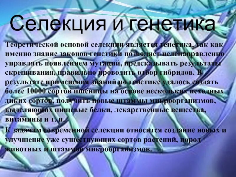 Какая наука является теоретической основой селекции. Генетика и селекция. теоретическая основа селекции. основы генетики и селекции. генетика и селекция растений.