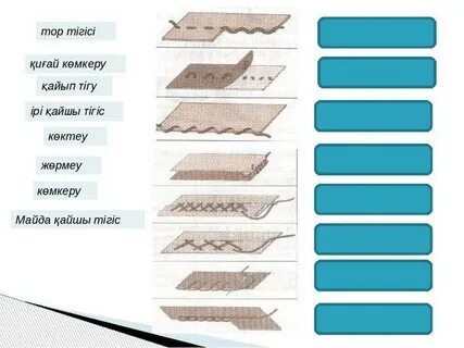 Азия сұлулары туралы бейне