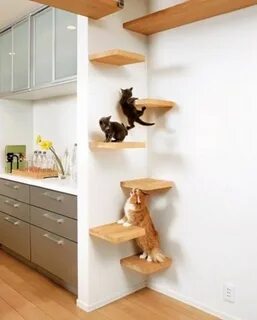 Уголок коте