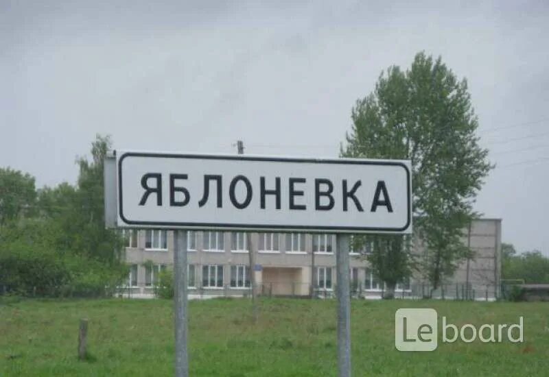 Исправительная колония 7 спб. Ик-7 яблоневка. Яблоневка. Яблоневка калининград автобус. Тюрьма яблоневка на ладожской.