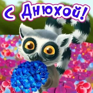 Аня день рождения картинки смешные