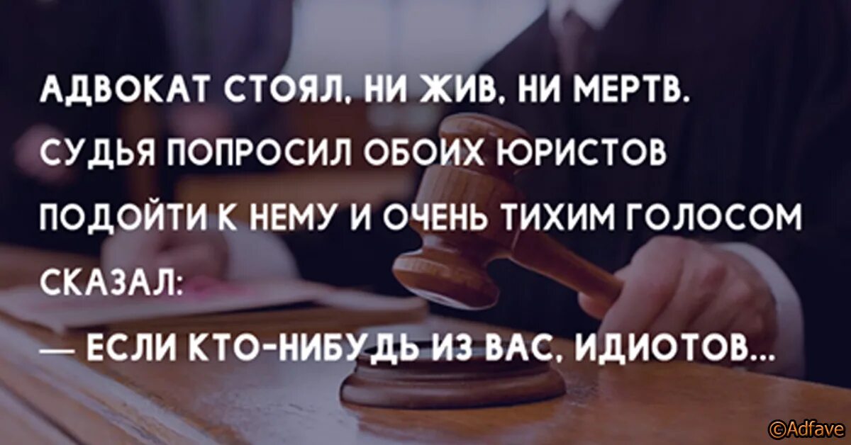 Юрист дебил. Обращение к адвокату. Обращайся к адвокату. Утро юриста.