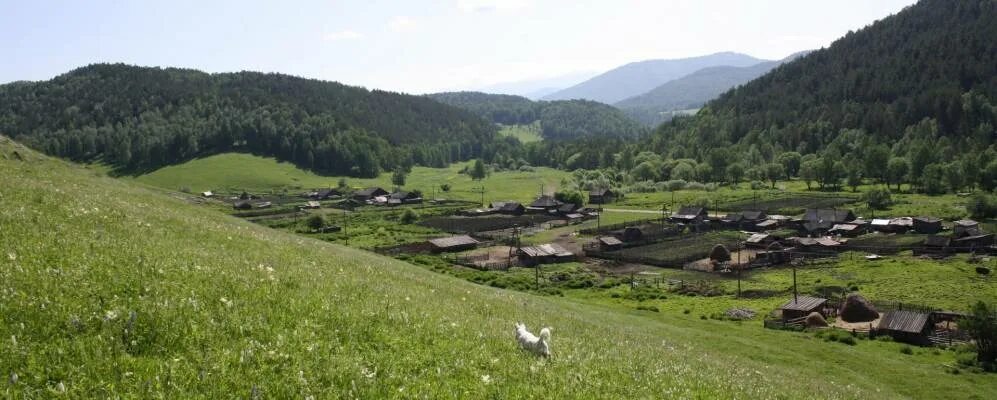 Погода в березовке чарышского края. Боровлянка Алтайский край Чарышский район. Алтайский край Чарышский район село Чарышское. Село Боровлянка Чарышского района. Деревня Чарыш Алтайский край.