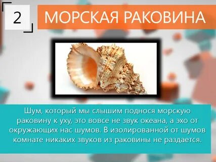 Звук ракушки