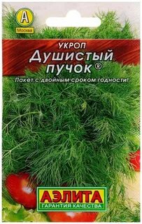 Пряный укроп