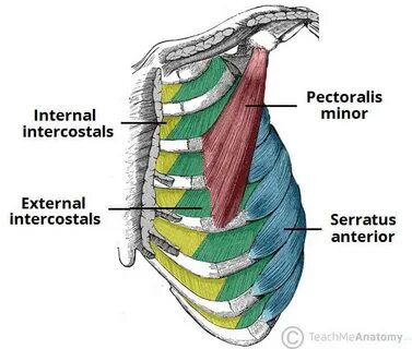 Internal 2