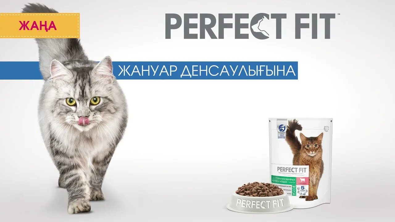 Реклама перфект. Перфект фит реклама. perfect fit логотип. реклама perfect fit active. корм перфект фит логотип.