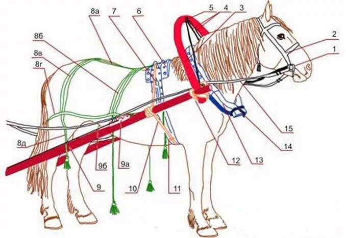 Части упряжи для лошади. Сбруя для оглобельно-дуговой запряжки. Конская упряжь, сбруя. Что такое вожжи сбруя седло стремя уздцы. Часть упряжи 5