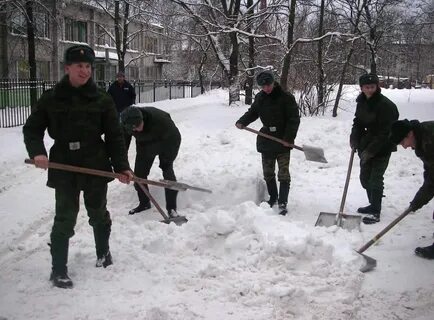 Пхд это расшифровка