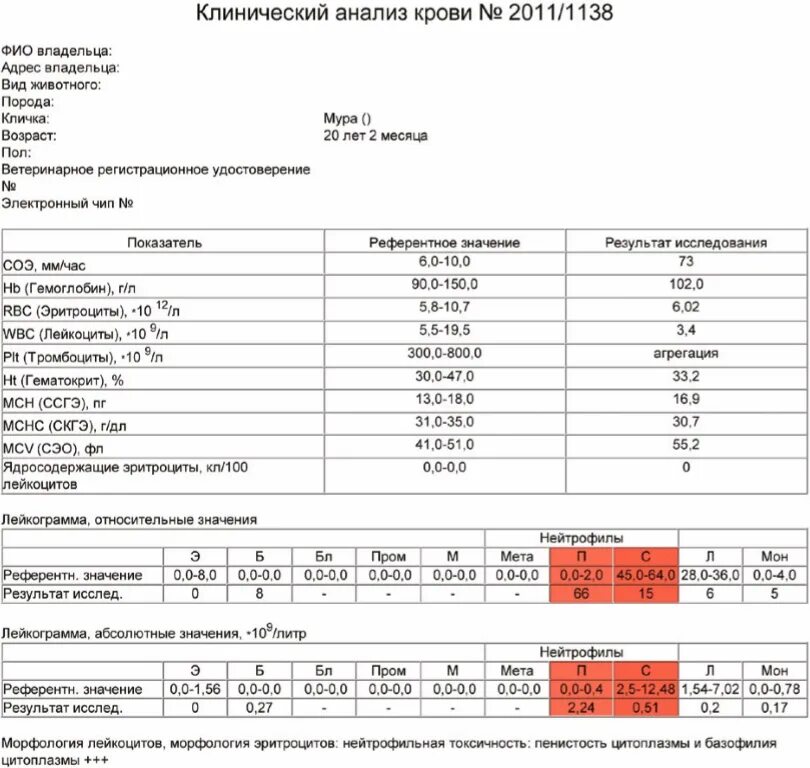 Нейтрофилы повышены при беременности 1 триместр