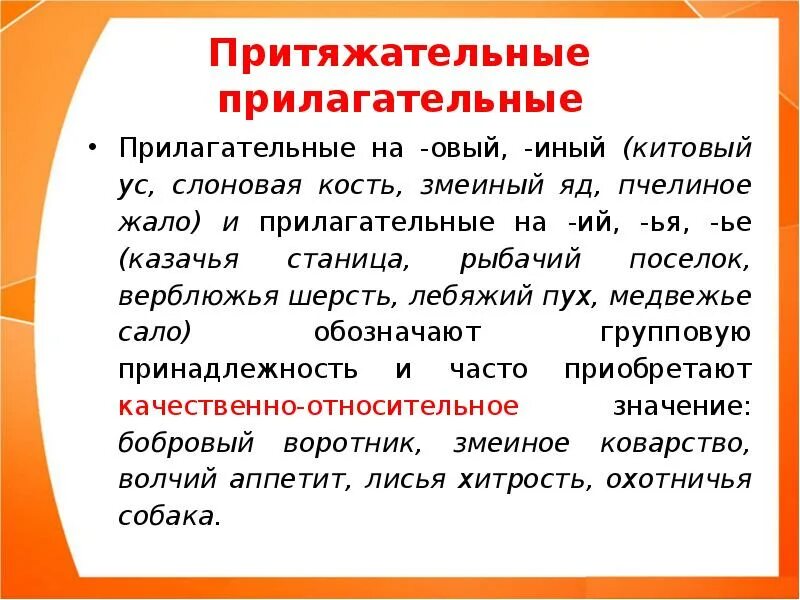 Звери какие прилагательные. Притяжательные прилагательные. Притяжательные прилагательные слова. Притяжательные прилагательные обозначают. Примеры притяжательных прилагательных.