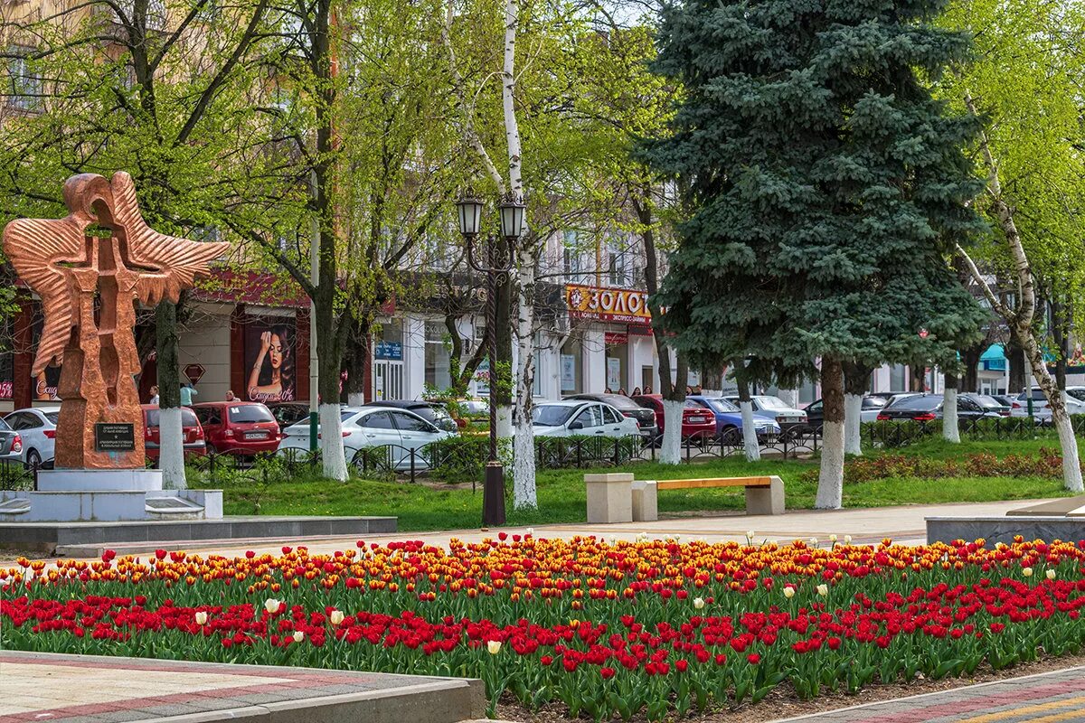 Город Армавир Краснодарский край. Площадь города Армавир Краснодарский край. Кировский сквер Армавир. Армавир Краснодарский край Кубань. Армавир ставропольский край