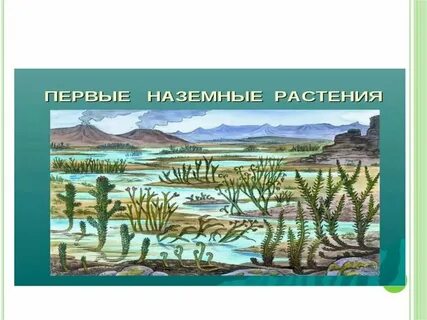 Растения на суше и в воде