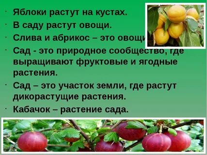 Есть где расти