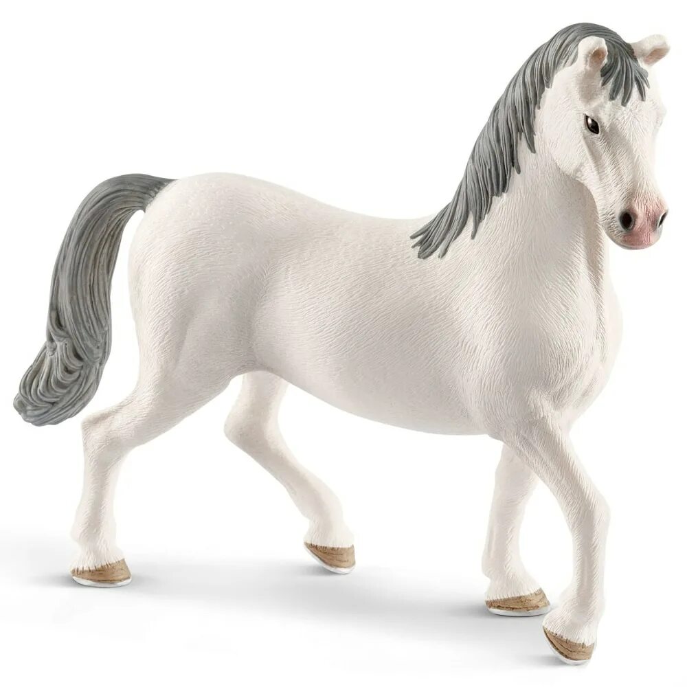 Schleich липпицианская кобыла. Schleich bayala пегас. Красивые фотографии шляйхов. Schleich фигурка кобыла морган. Schleich.