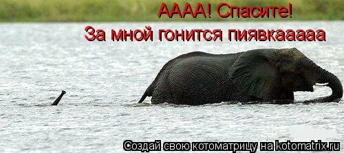 Проблемы гонятся за мной. Между подлежащим и сказуемым при определенных условиях примеры. За мной гнались я духом не смутился. Мент спрятался. Наверху журавлиный крик птицы улетают на юг.