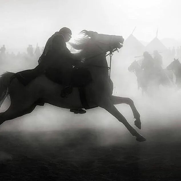 Лошади до судного дня. Всадник на лошади сверху. всадник черно белая фотография. сахабы сподвижники. чёрный и белый конь всадники.
