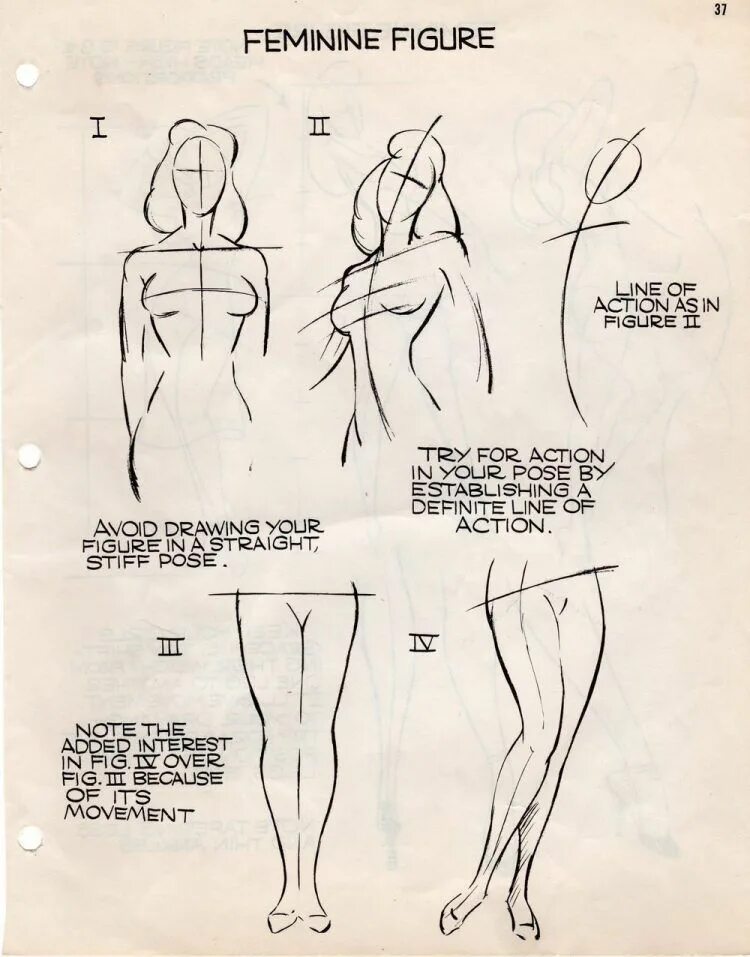 Line figure. Drawing the female figure книга. straight figure.