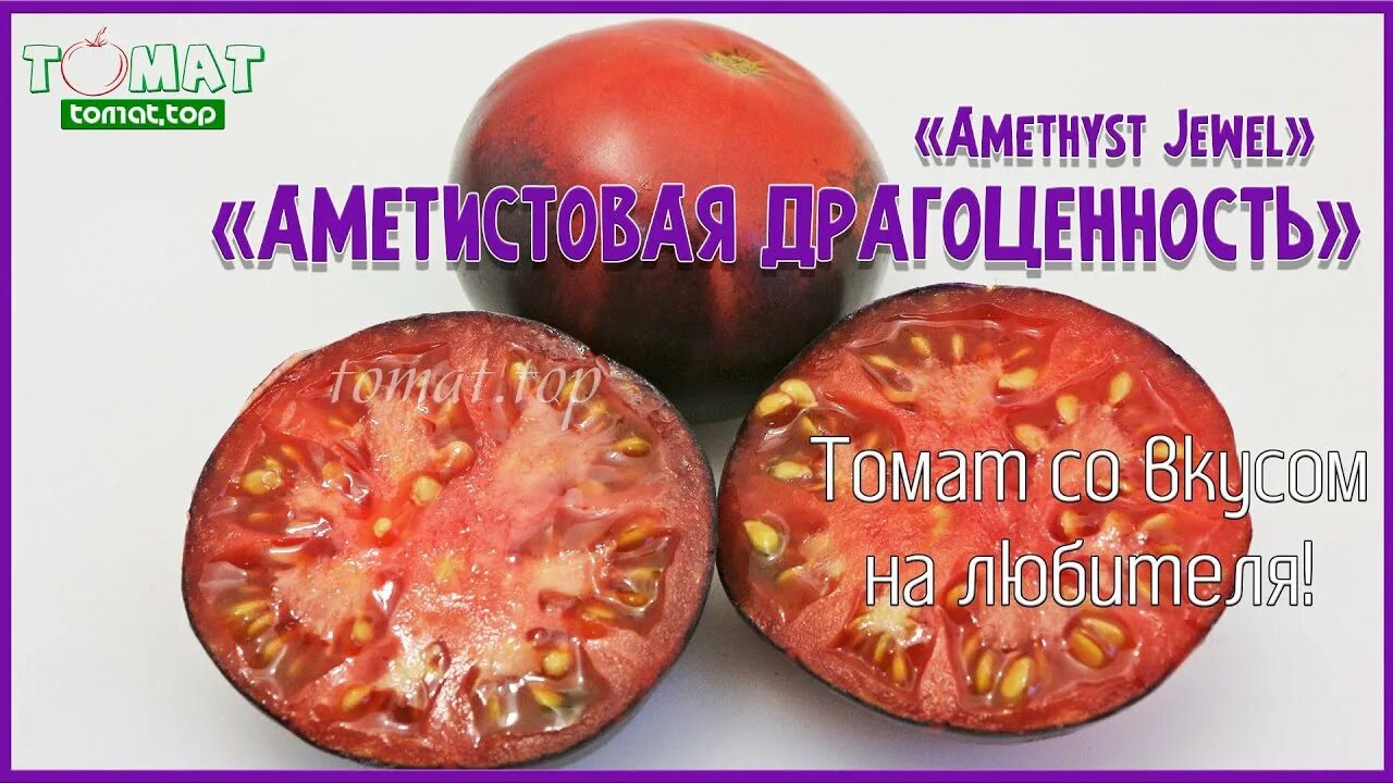 Томаты сорт драгоценность. Томат аметистовая драгоценность. сорт помидор аметистовая драгоценность. томат amethyst jewel. томат аметистовая драгоценность мязина.