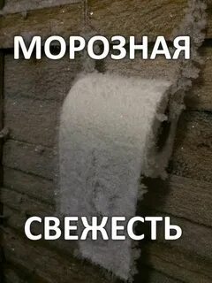 Про мороз картинки прикольные с надписями