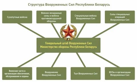 Особая организация силы