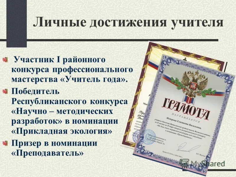 Информация о профессиональных достижениях учителя. Информация о профессиональных достижениях учителя