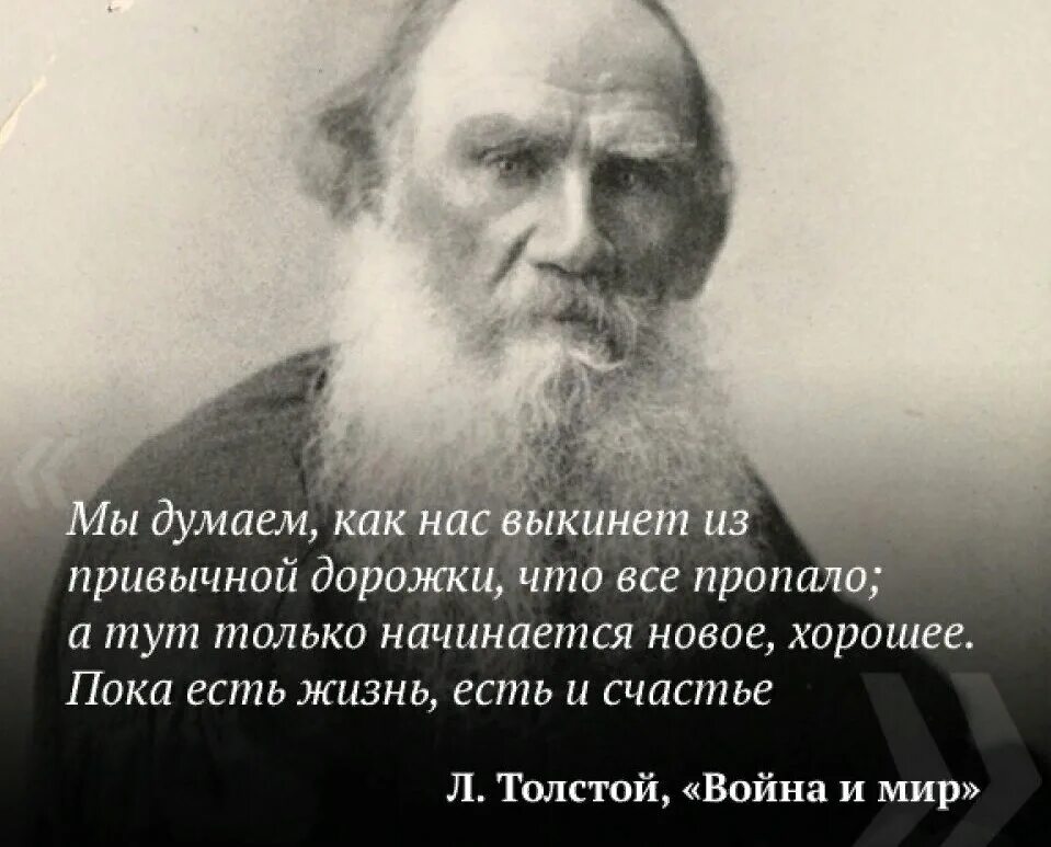 Счастье высказывания писателей. Цитаты Льва Толстого. Цитатыттолстого о жизни. Цитаты Толстого о жизни. Цитаты Льва Толстого о жизни.