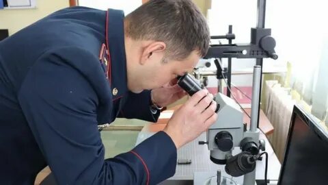 Пизда порносындағы сегізаяқ