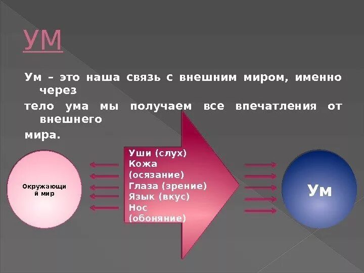 Что определяет ум человека. Чем отличается разум и ум. Понятие ум. Ум это определение. Ум разум интеллект.