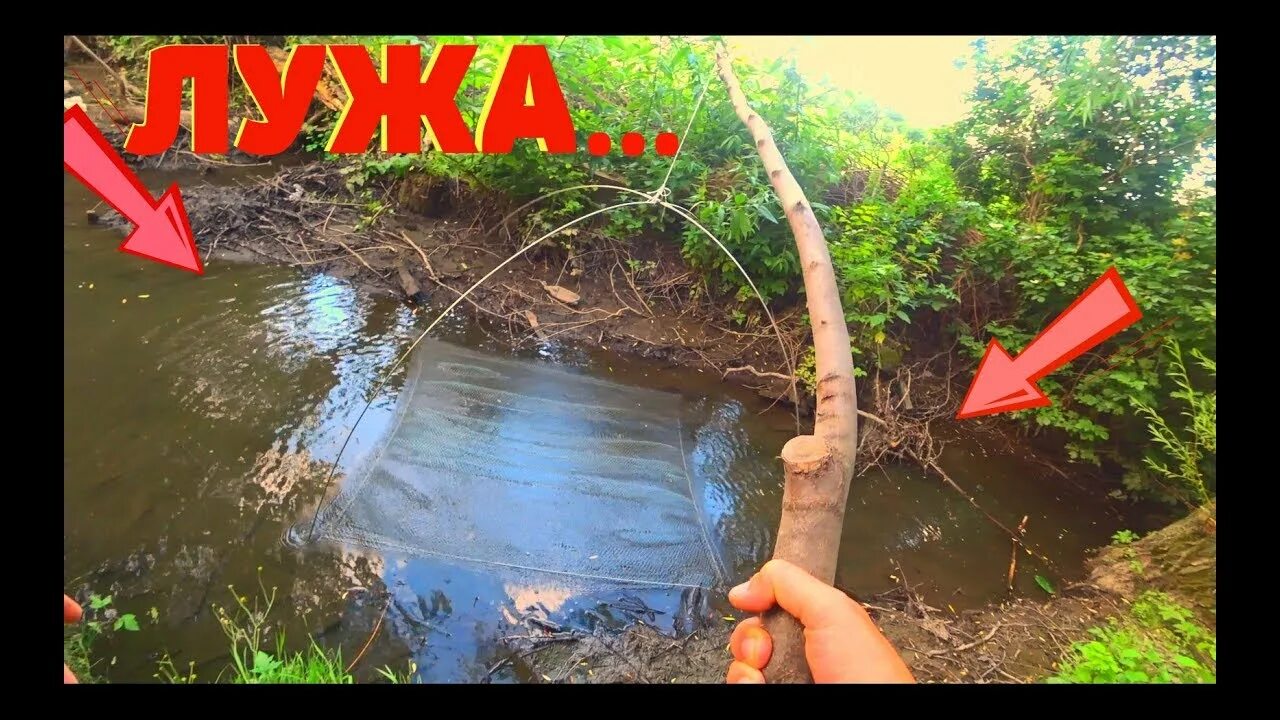 Ловит в луже. Рыбалка в луже.