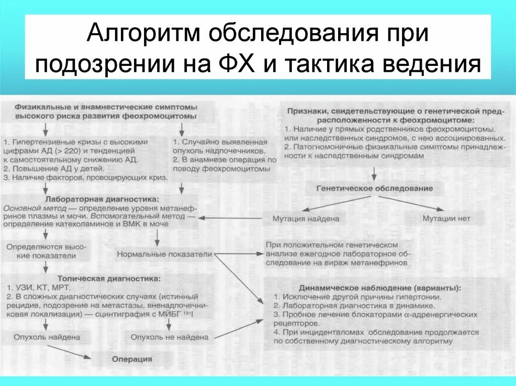 Алгоритмы обследования больных. Алгоритм обследования. Алгоритм обследования при подозрении бронхиальной. Определение тактики ведения пациента алгоритм. Алгоритмы в эндокринологии.