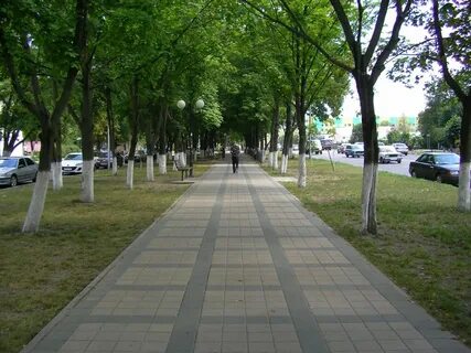 Двор 2012